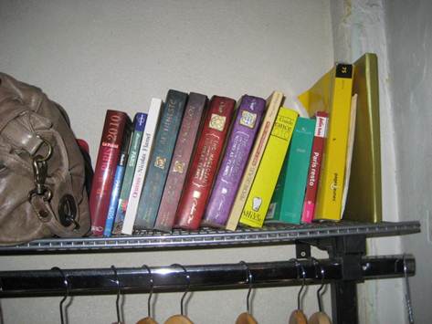 Bücherregal mit mehreren Büchern Michael Scotts, neben weiteren Büchern